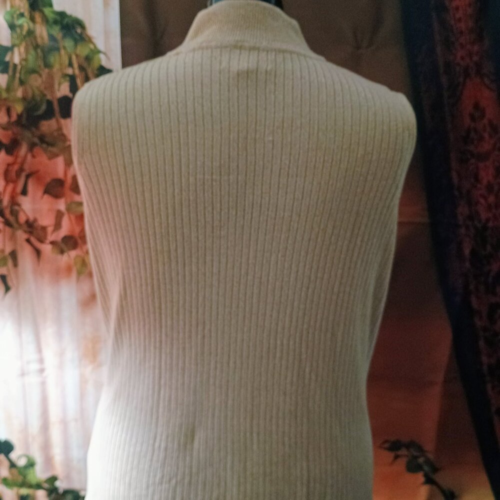 EUC: Dana Buchman Sze. XL Tan Textured Sleeveless Mock Neck Top - Picture 2 of 5